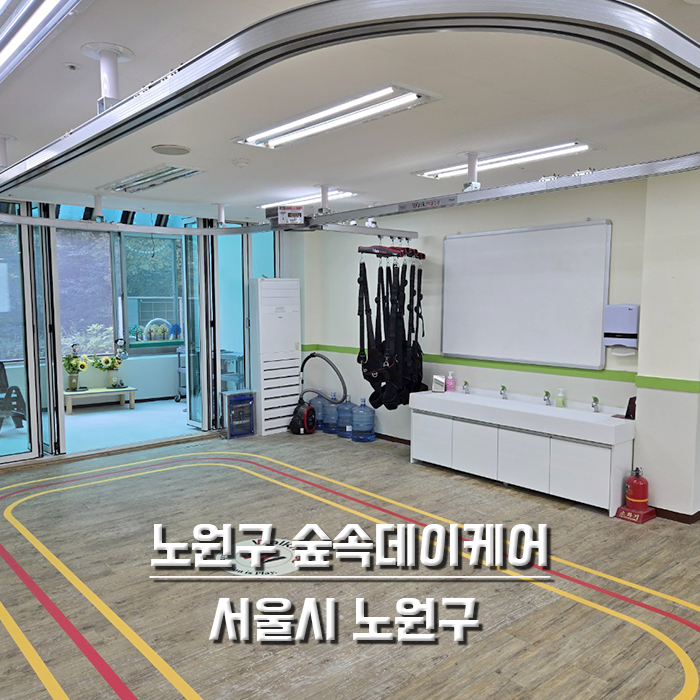 노원구 숲속데이케어