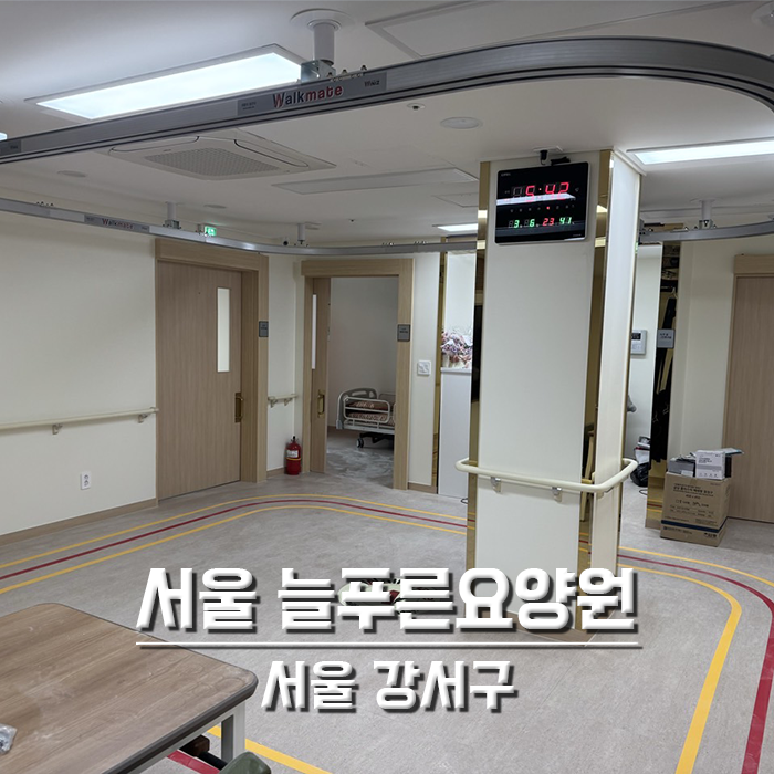 서울 늘푸른요양원