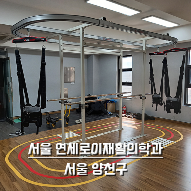 서울 연세로이재활의학과
