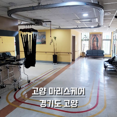 고양 마리스케어