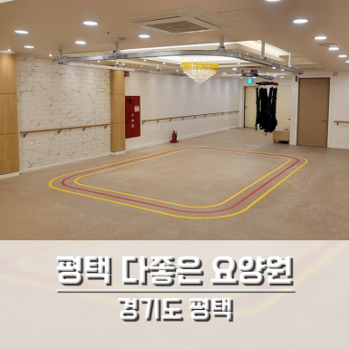 평택 다좋은 요양원