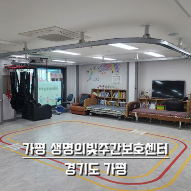 가평 생명의빛주간보호센터