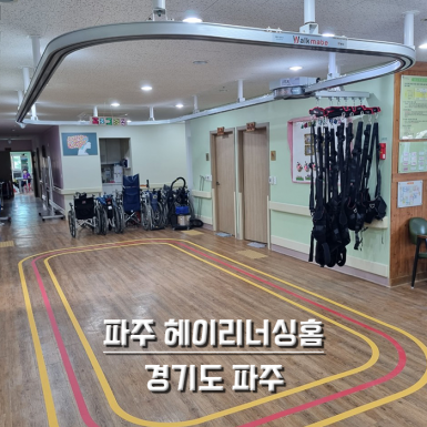 파주 헤이리 너싱홈