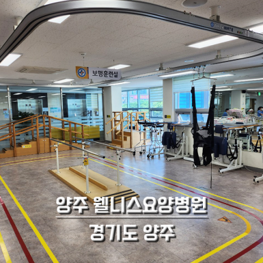 양주 웰니스요양병원