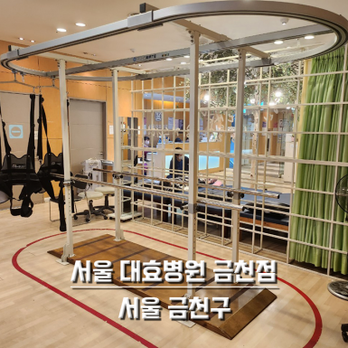 서울 대효병원 금천점