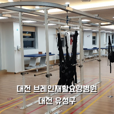 대전 브레인재활요양병원