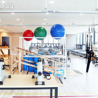 경기도 양주대효병원