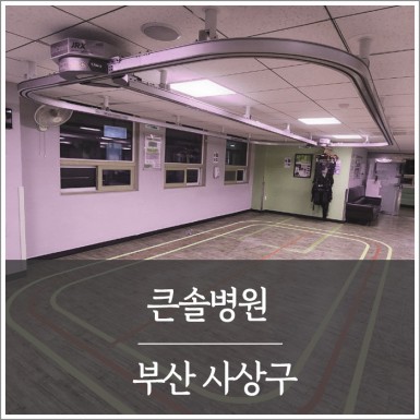 학장 큰솔병원